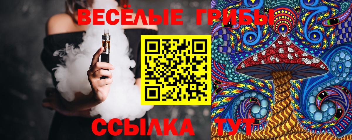 Псилоцибиновые грибы Psilocybe Калининград