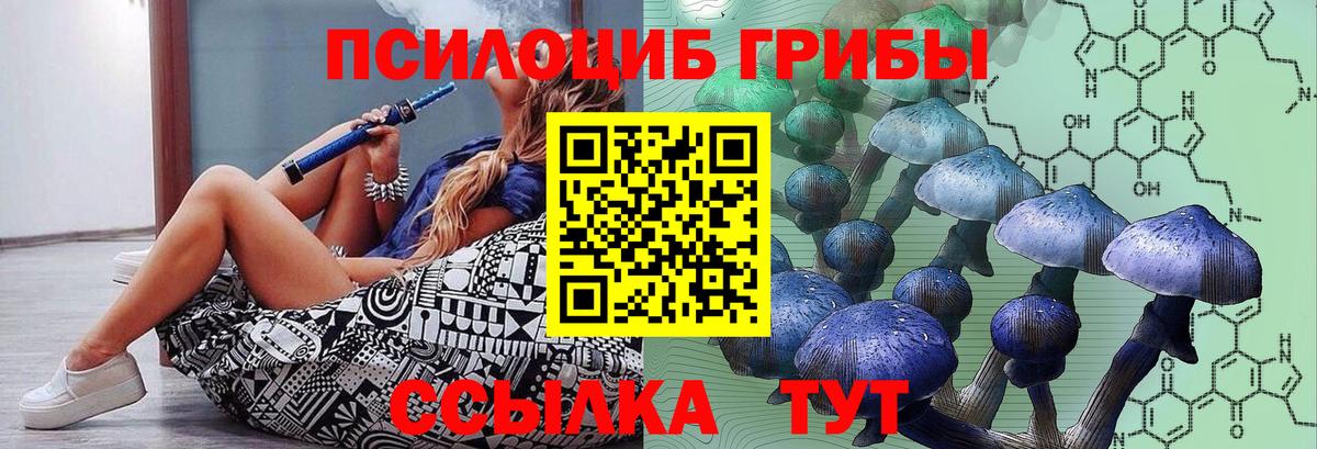 Калининград  Галлюциногенные грибы Psilocybine cubensis  Вход с VPN 